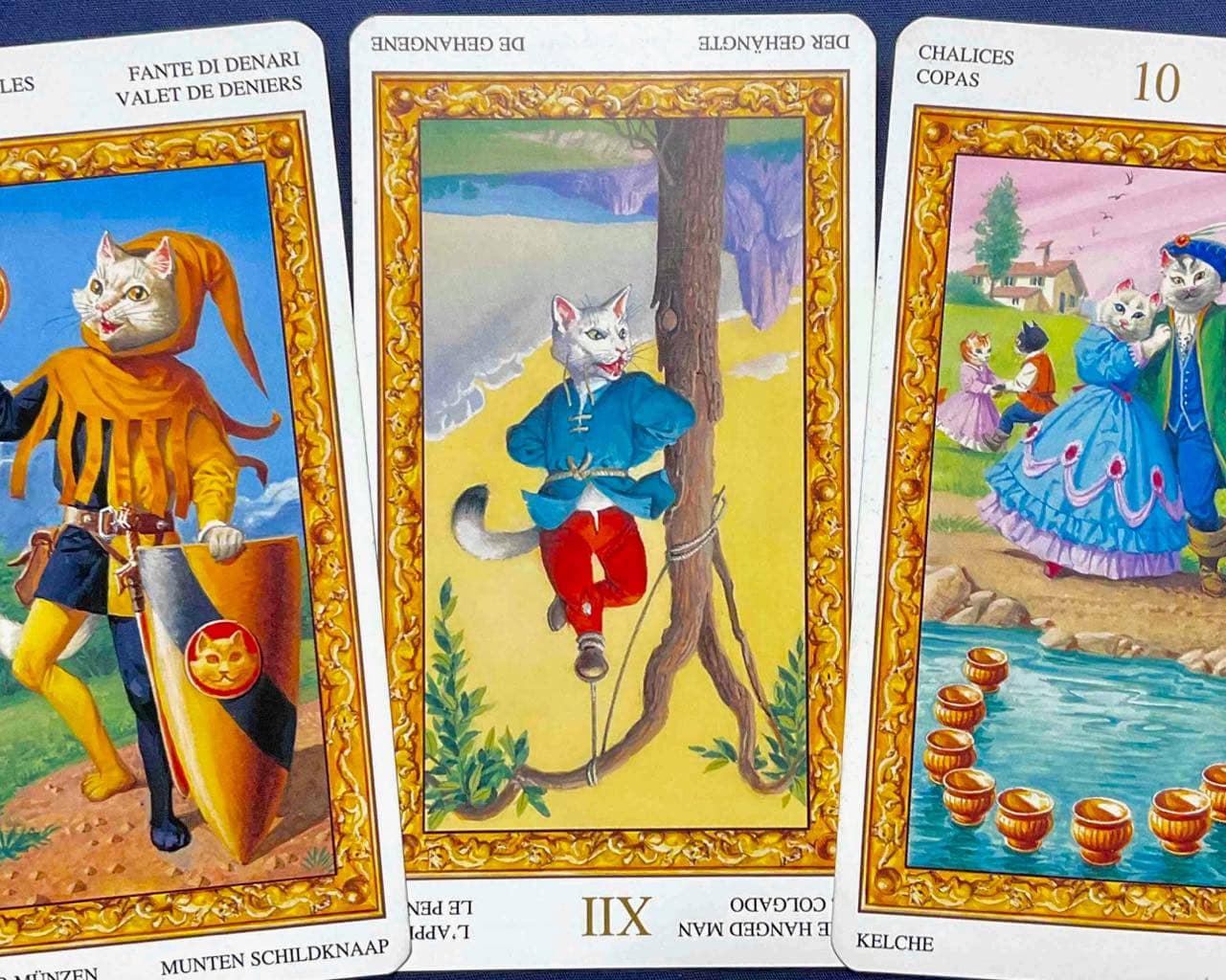 【乙女座】2026年3月2日〜3月8日運勢