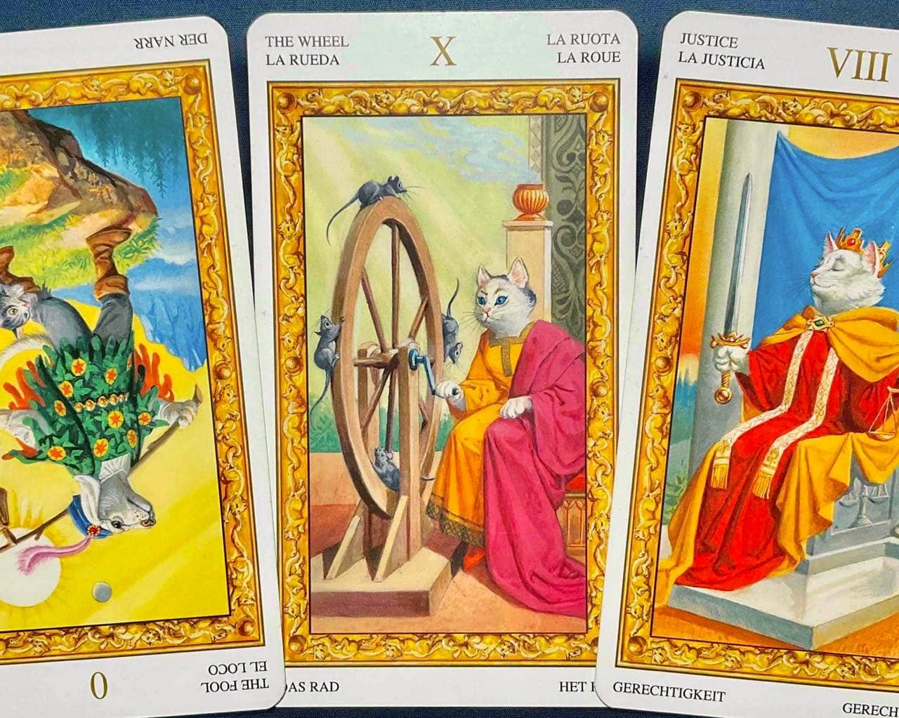 【射手座】2026年2月23日〜3月1日運勢