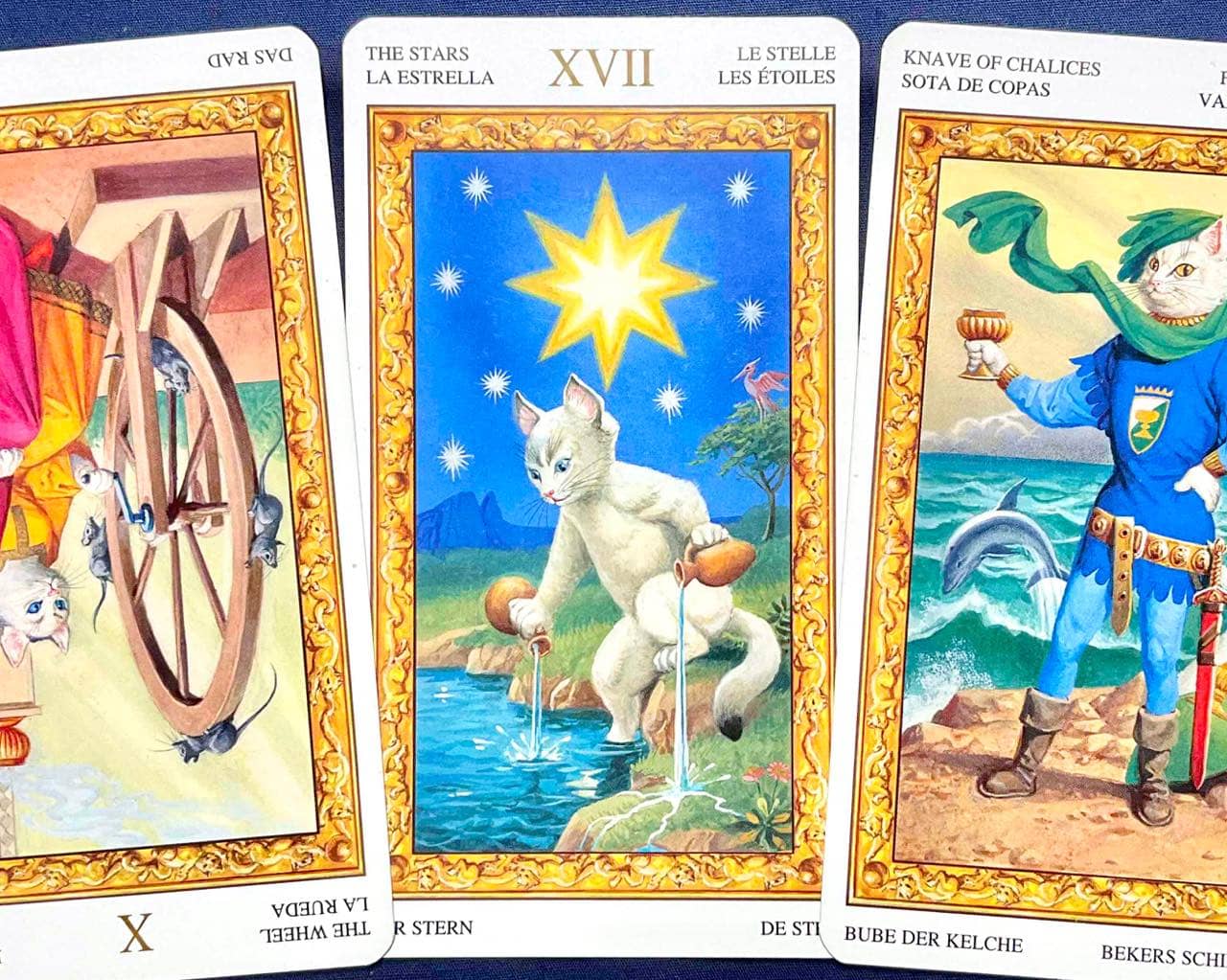 【射手座】2026年4月6日〜4月12日運勢