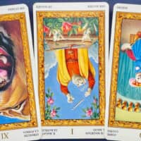 【乙女座】2026年3月23日〜3月29日運勢