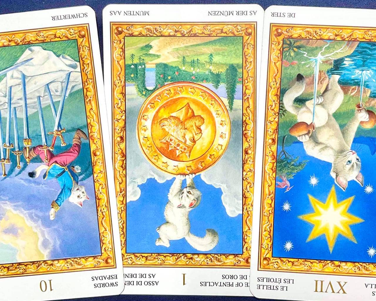 【牡牛座】2026年4月6日〜4月12日運勢