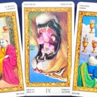 【獅子座】2026年4月6日〜4月12日運勢