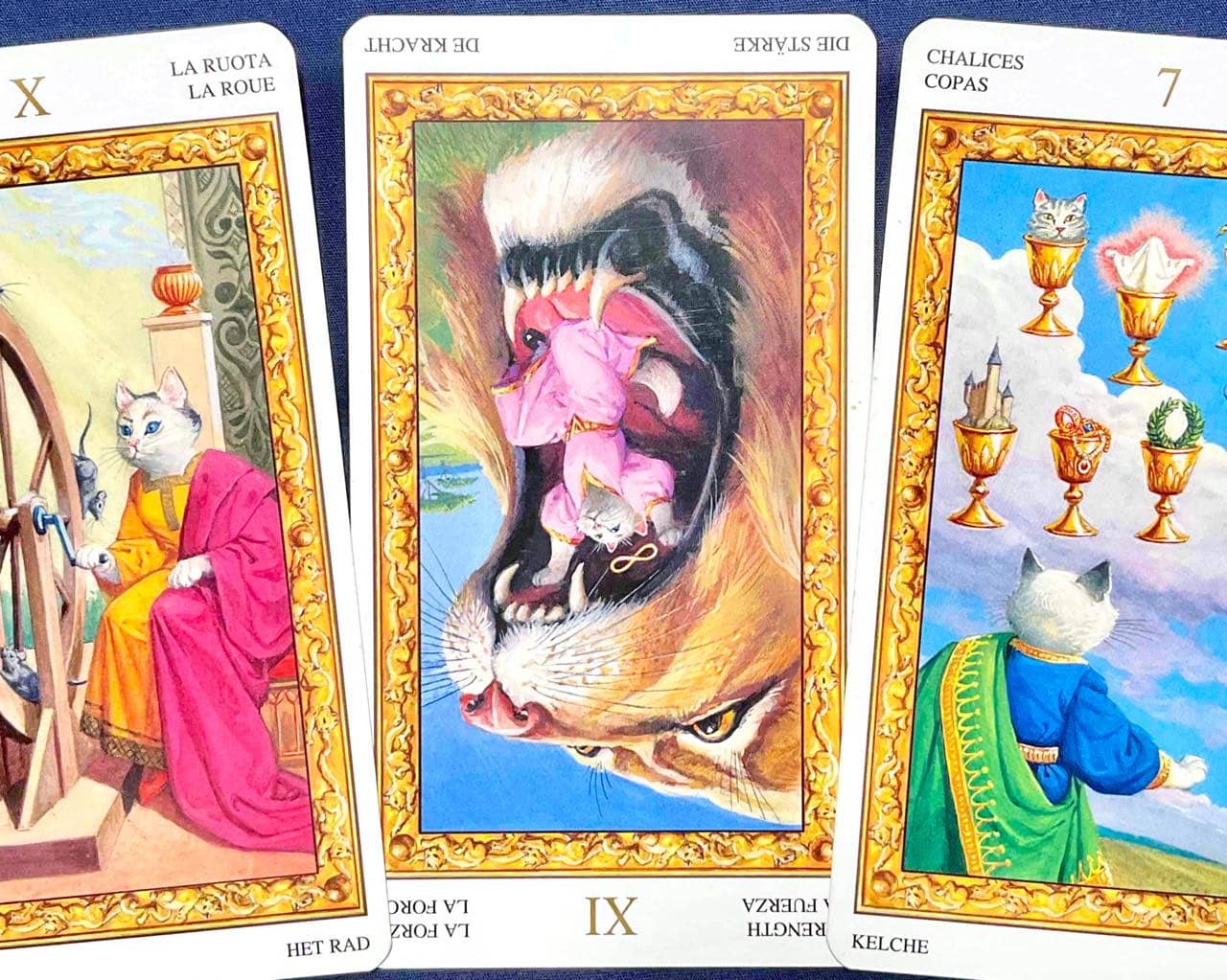 【獅子座】2026年4月6日〜4月12日運勢