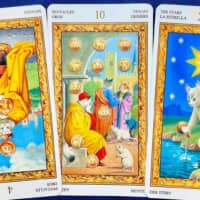 【水瓶座】2026年4月20日〜4月26日運勢