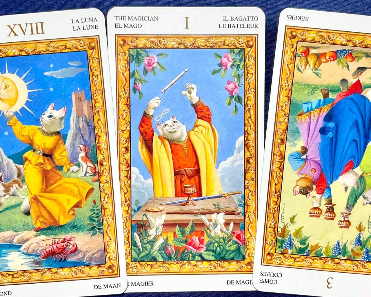 【双子座】2026年4月27日〜5月3日運勢