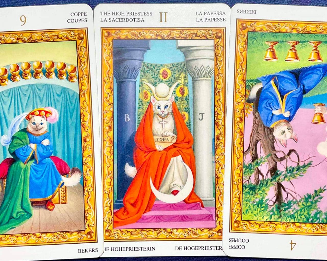 【乙女座】2026年5月4日〜5月10日運勢