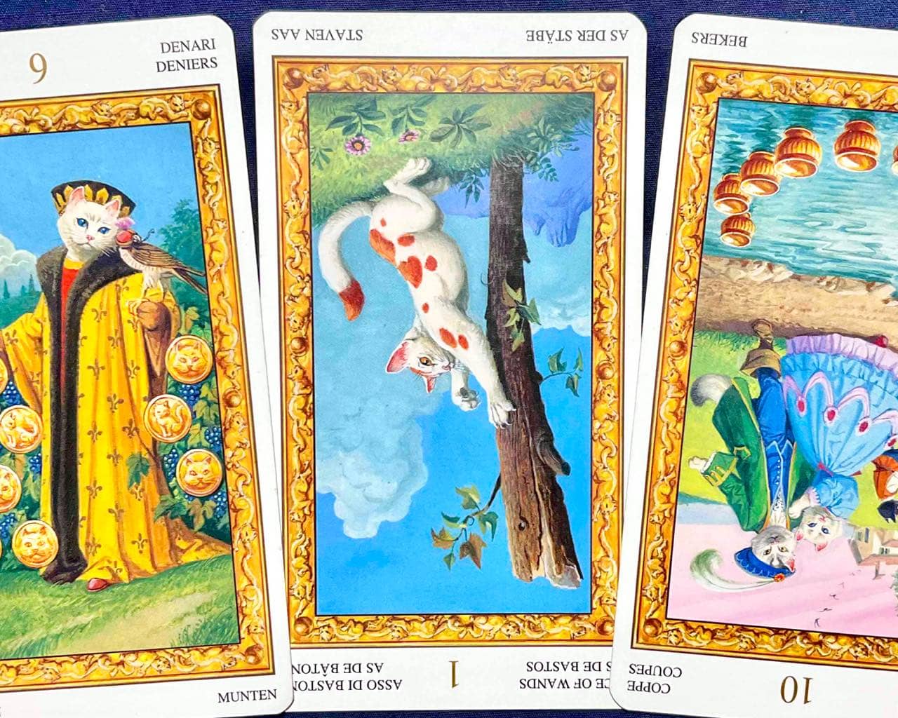 【山羊座】2026年4月27日〜5月3日運勢