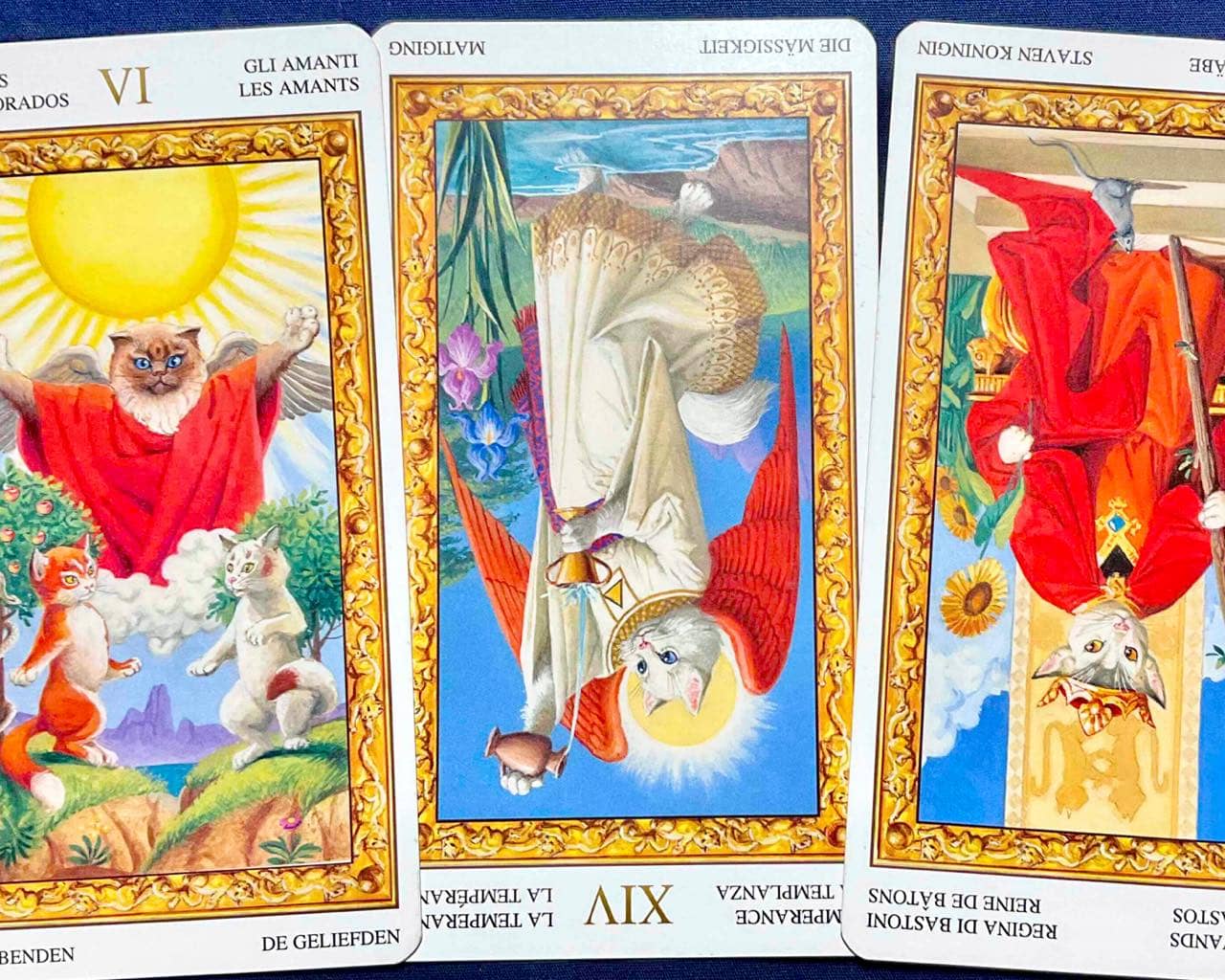 【蟹座】2026年5月4日〜5月10日運勢