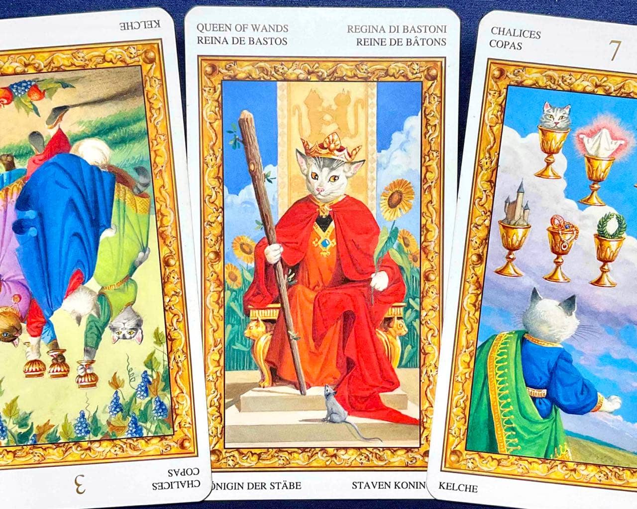 【水瓶座】2026年4月27日〜5月3日運勢