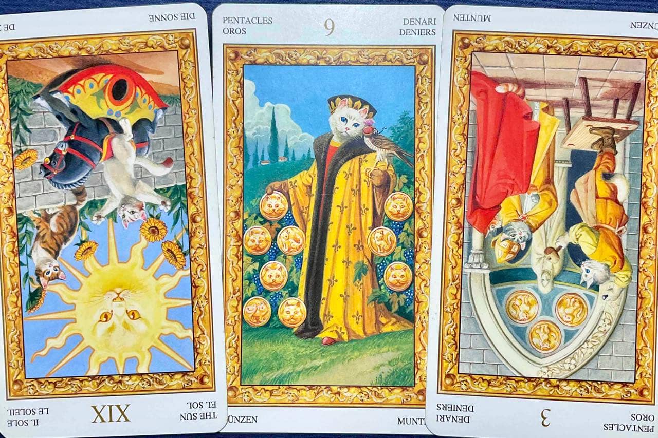 【獅子座】2026年5月18日〜5月24日運勢