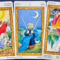 【魚座】2026年6月22日〜6月28日運勢